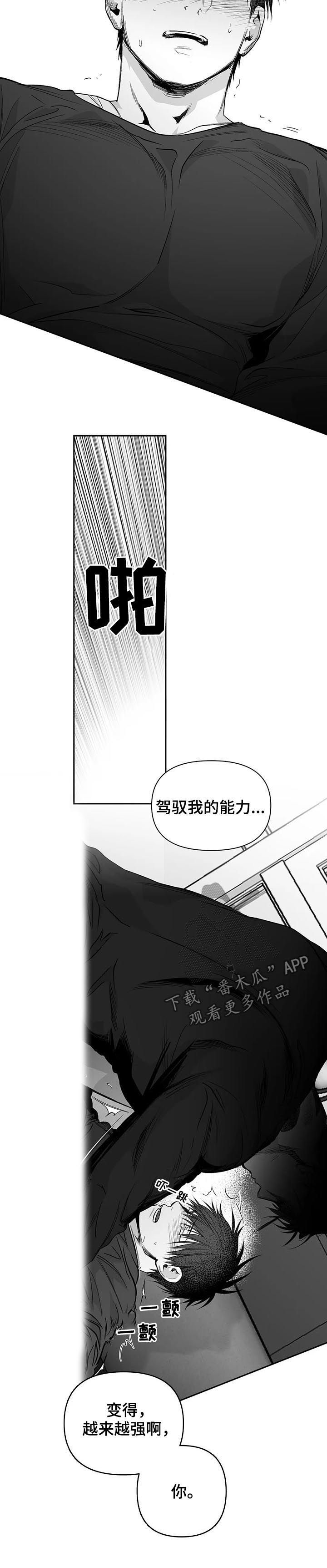 拳击手漫画,第93章：【第二季】不要受伤2图