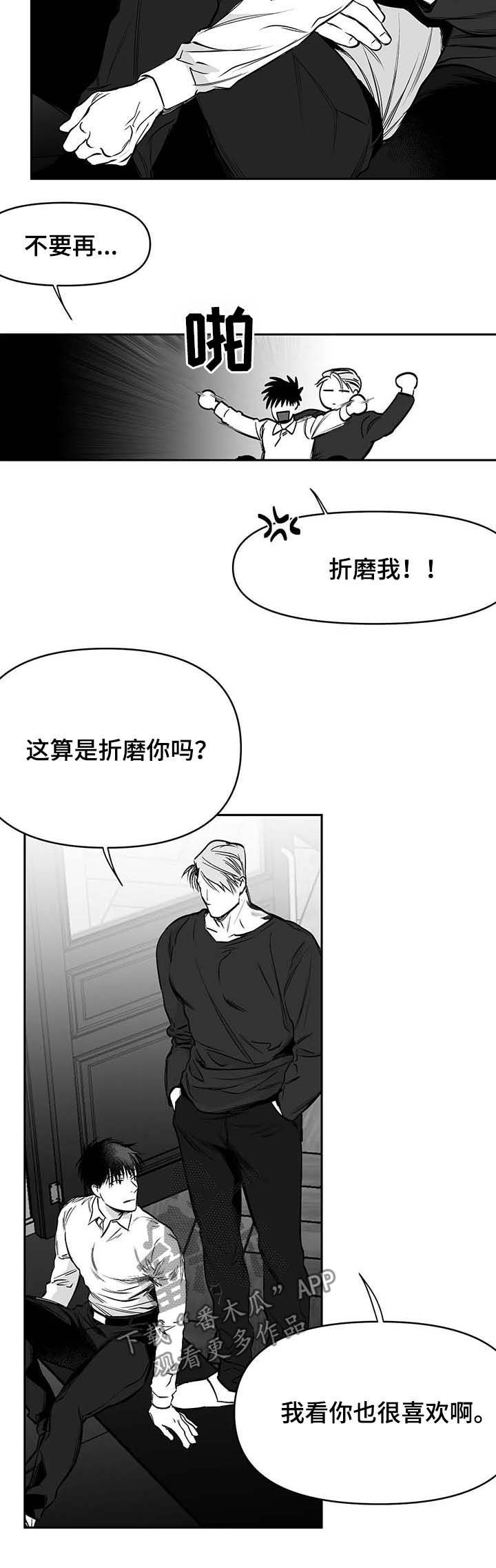 拳击手漫画,第73章：现在开始管管2图