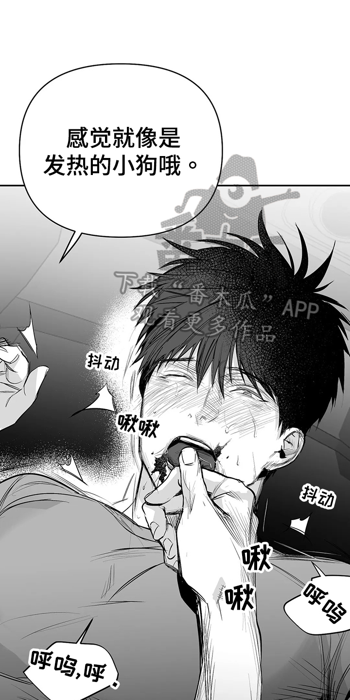 拳击手漫画,第187章：【第三季】忍不住1图
