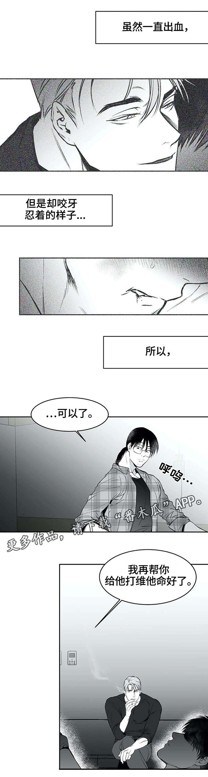 拳击手漫画,第28章：毒蛇1图