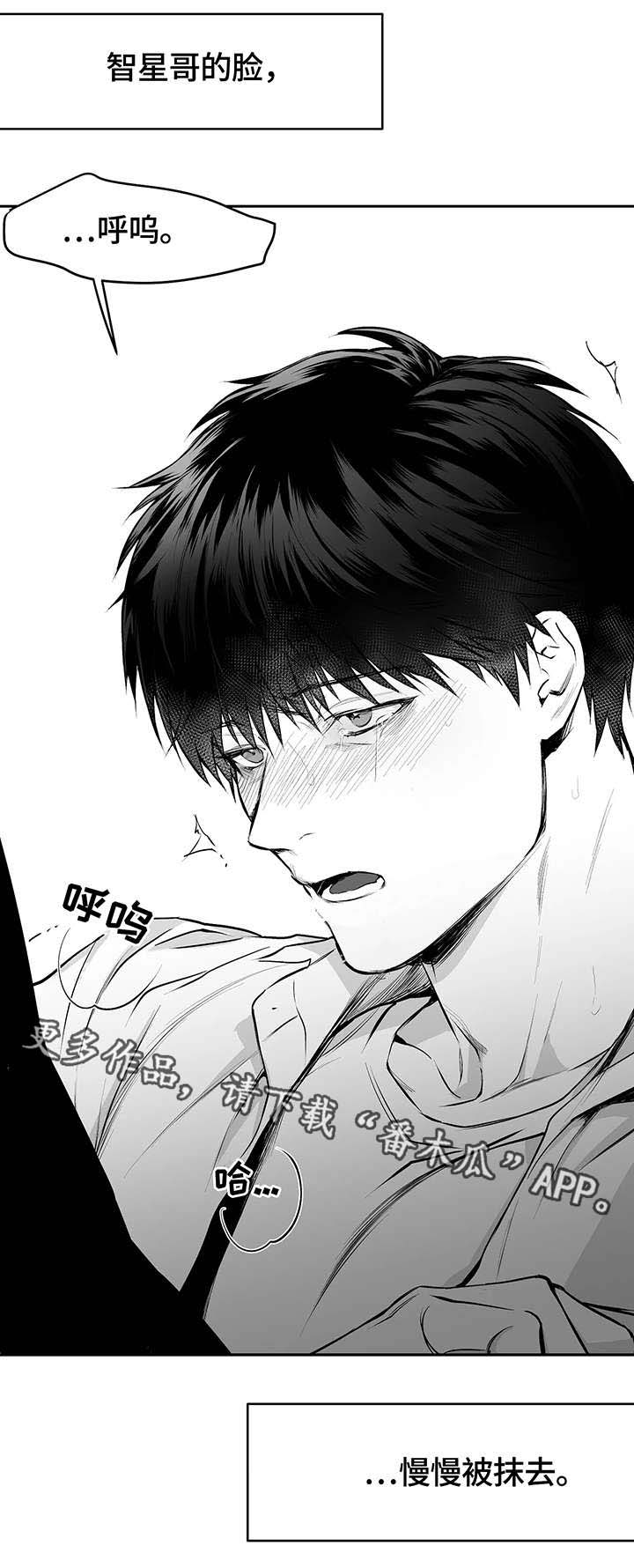 拳击手漫画,第34章：抹去1图