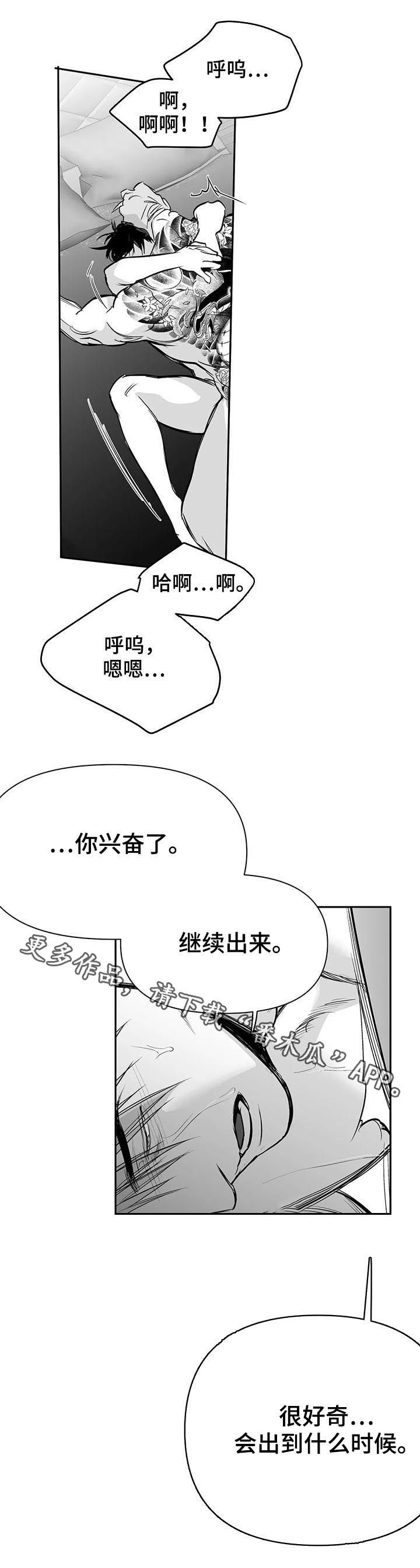 拳击手漫画,第112章：【第二季】很好奇1图