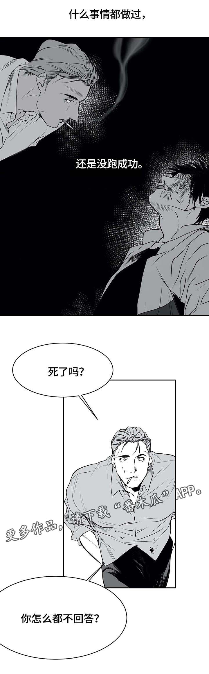 拳击手漫画,第6章：挣扎2图