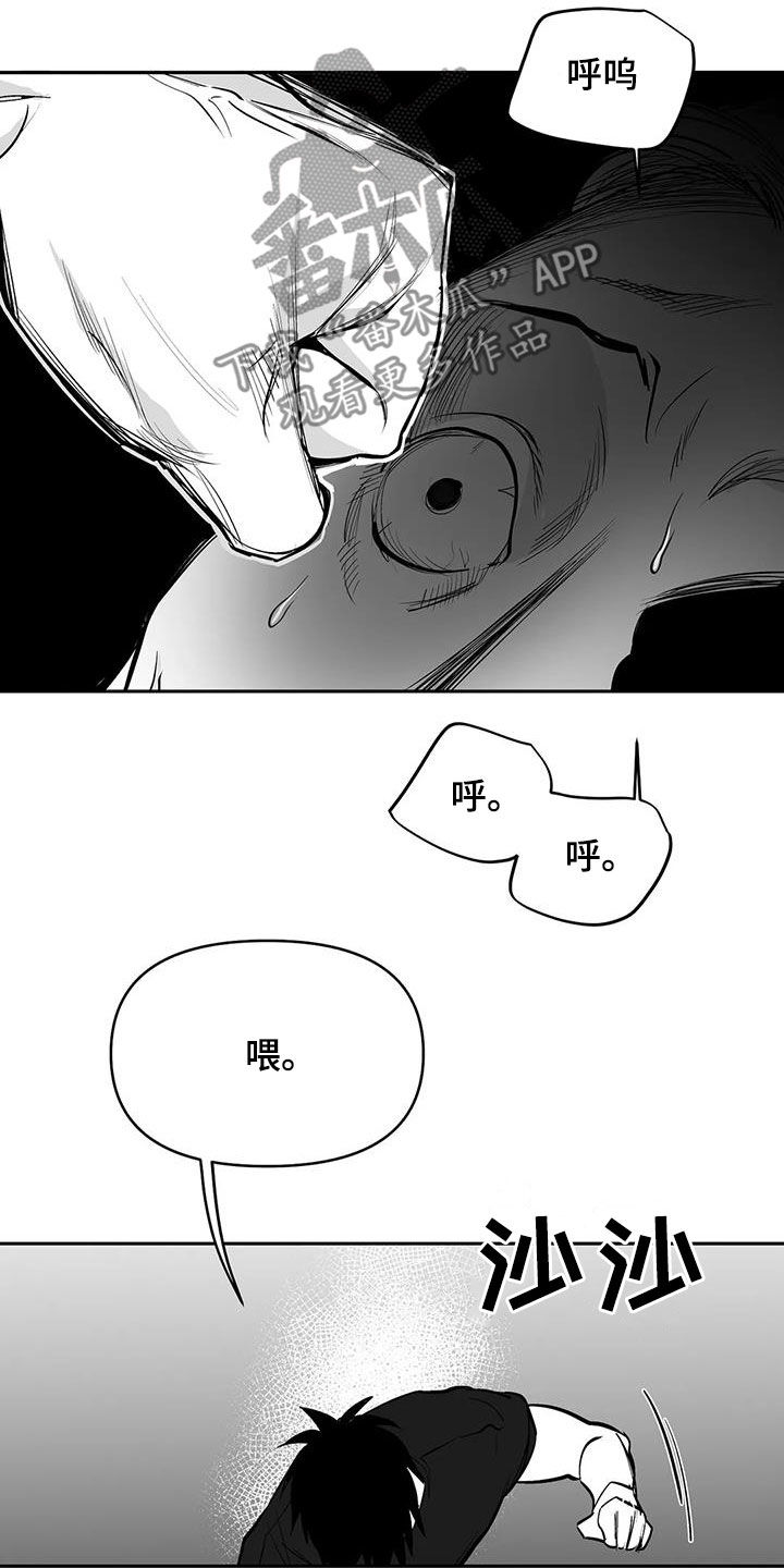 拳击手漫画,第165章：【第三季】碾压1图
