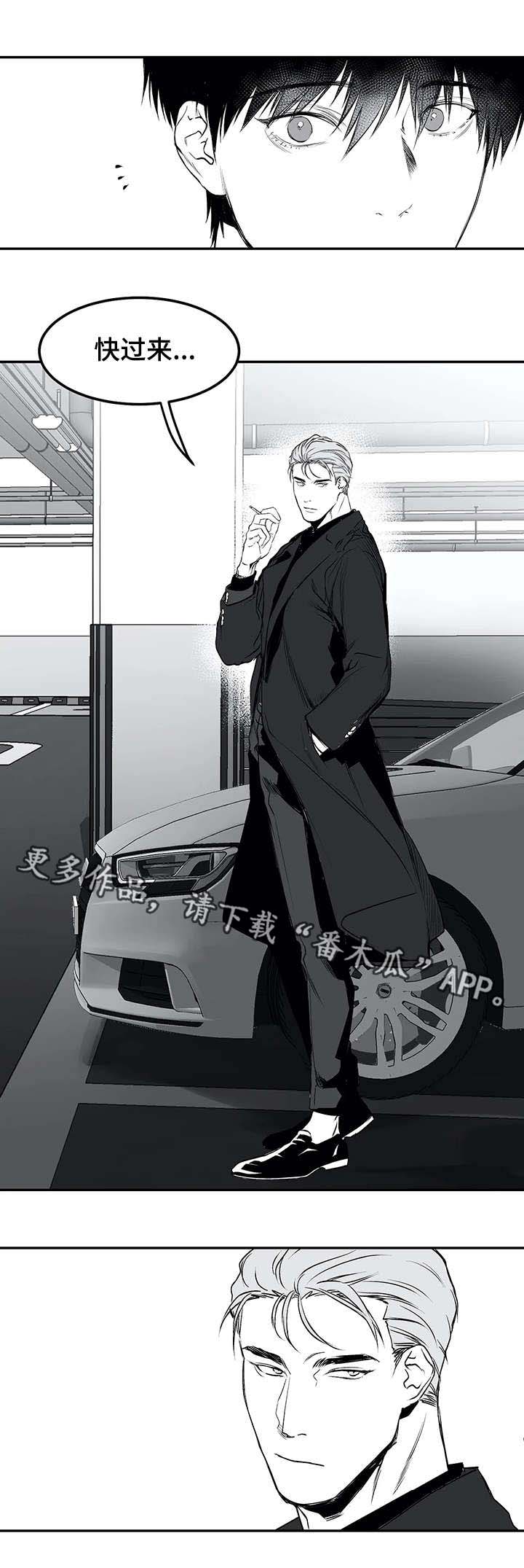 拳击手漫画,第19章：组织1图