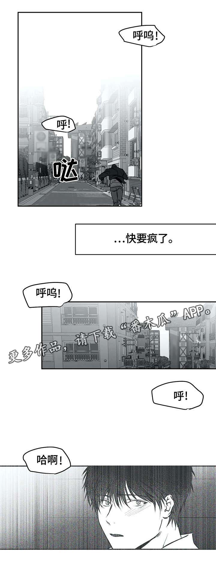 拳击手漫画,第29章：发泄2图