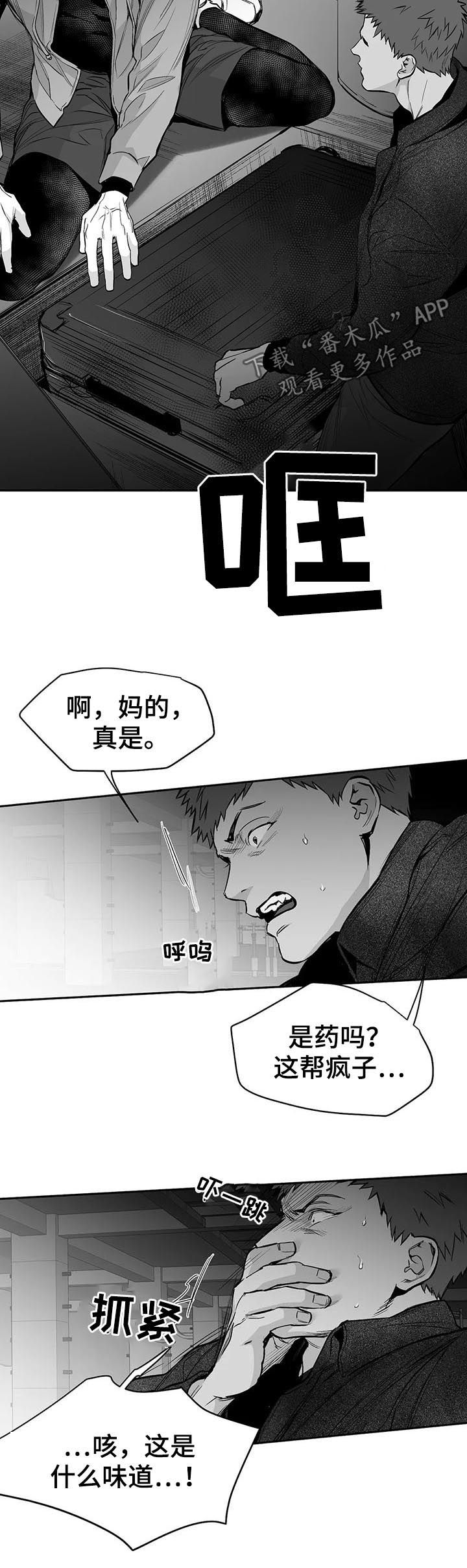 拳击手漫画,第116章：【第二季】给我抓2图