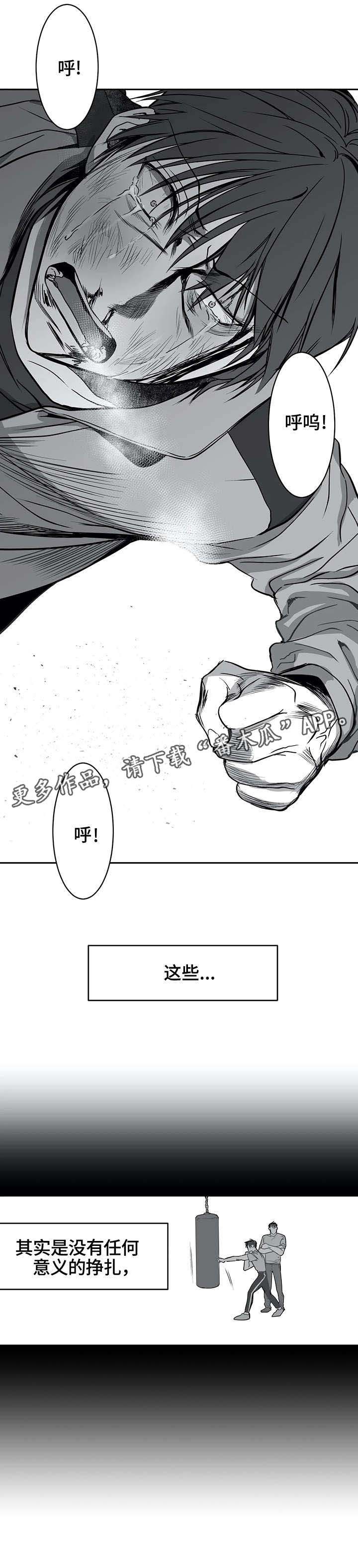 拳击手漫画,第7章：面熟2图