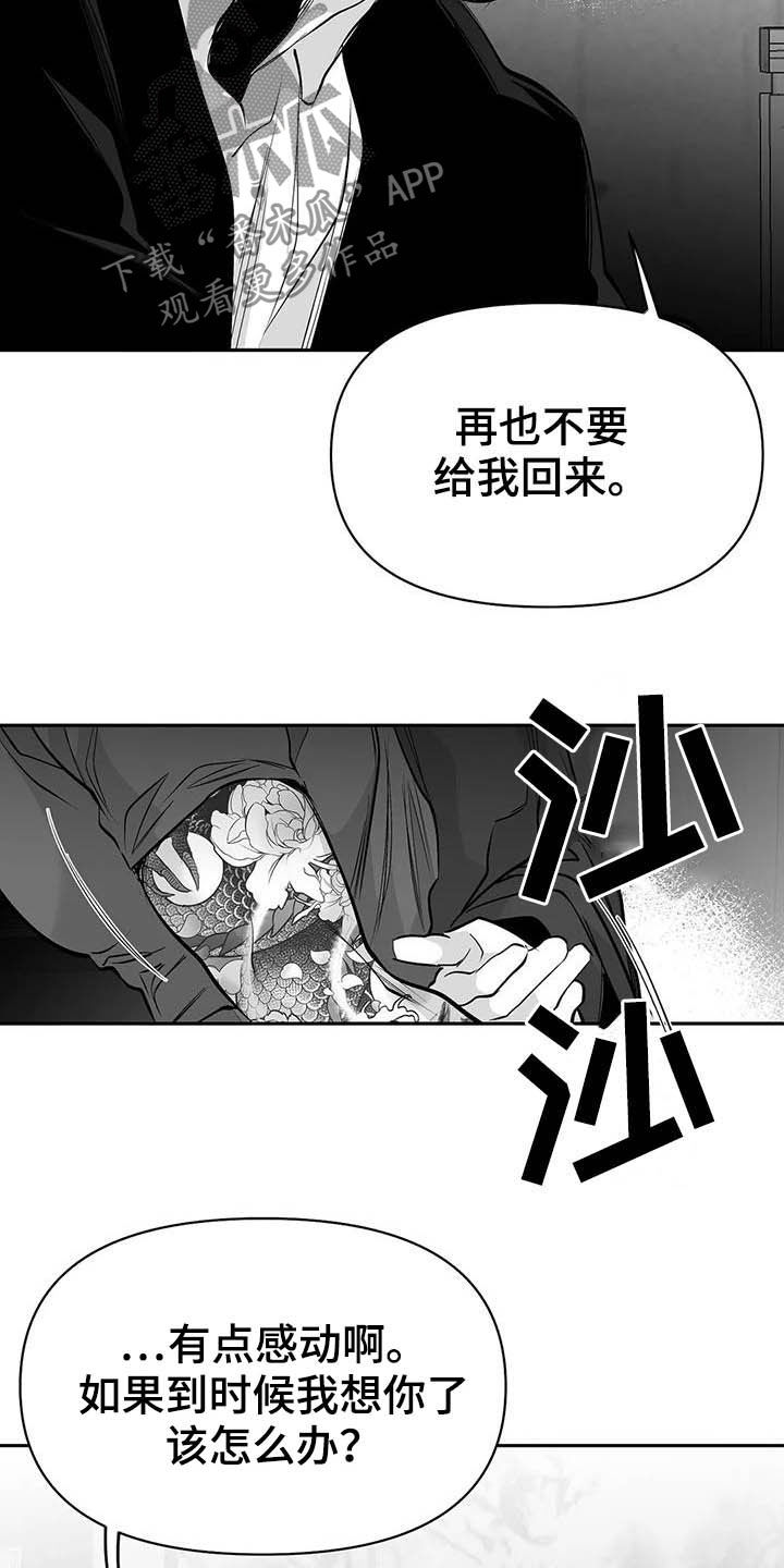 拳击手漫画,第148章：【第三季】我可以救你2图