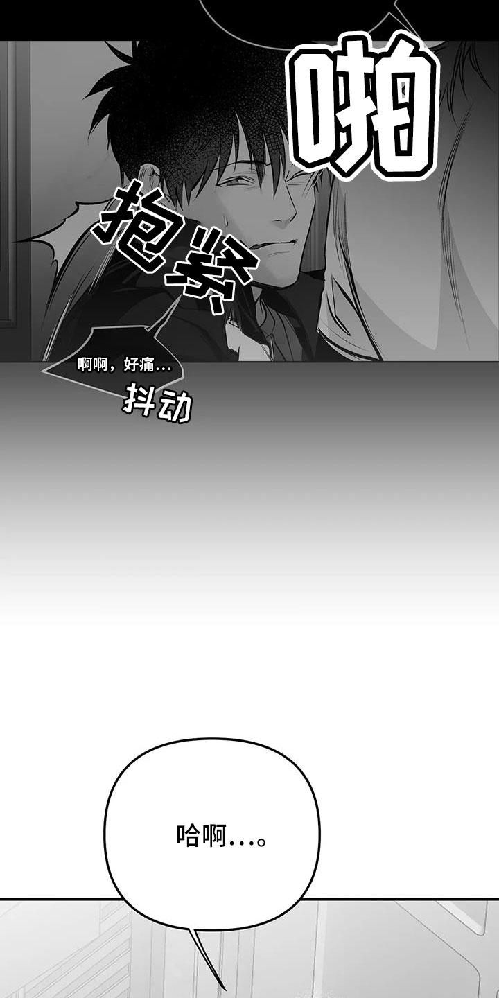 拳击手漫画,第212章：【第三季】条件是什么来着2图