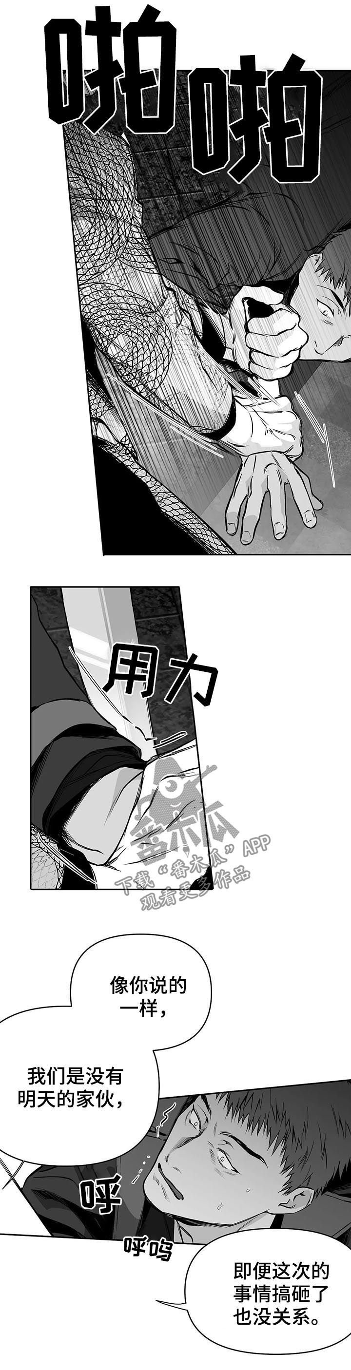 拳击手漫画,第80章：无法忍住2图