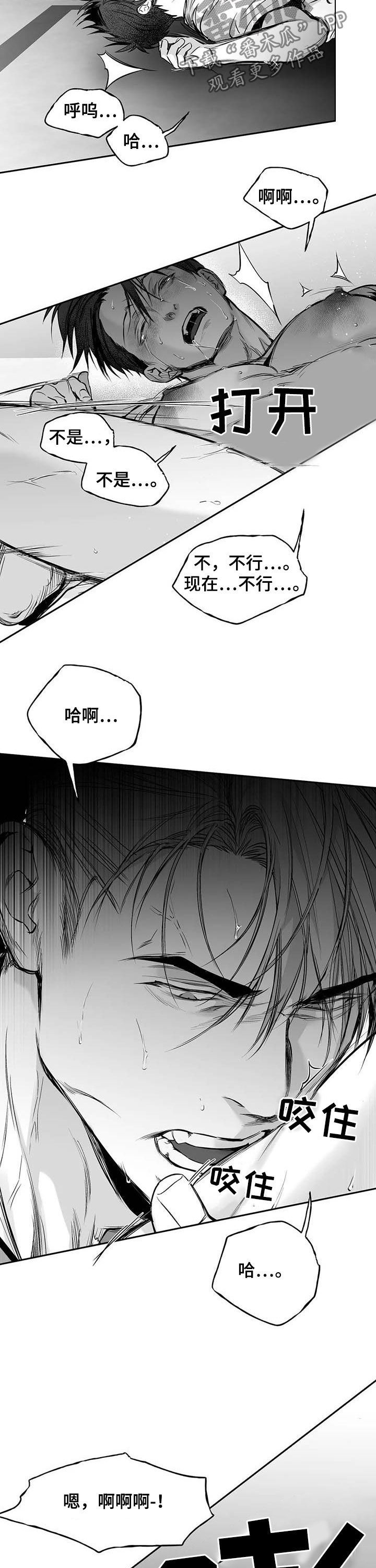 拳击手漫画,第139章：【第二季】你是我的2图