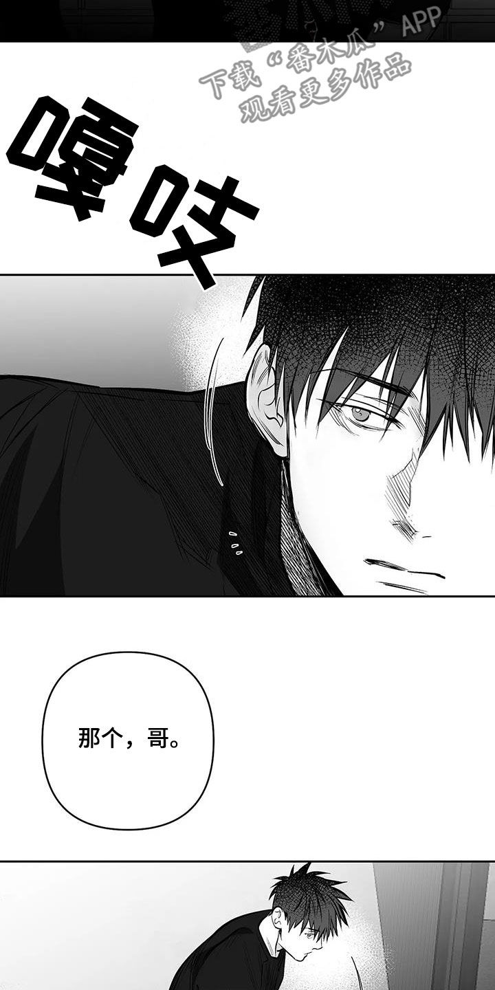 拳击手漫画,第164章：【第三季】砸场子1图