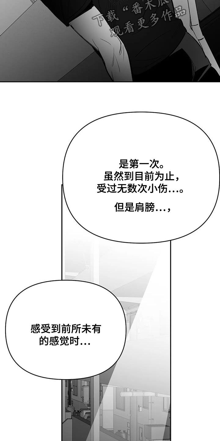 拳击手漫画,第169章：【第三季】还有明天2图