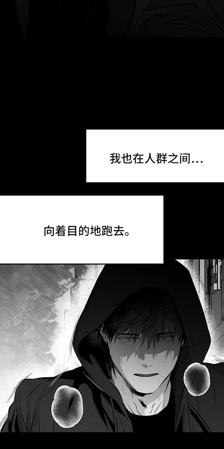 拳击手漫画,第201章：【第三季】去散步2图