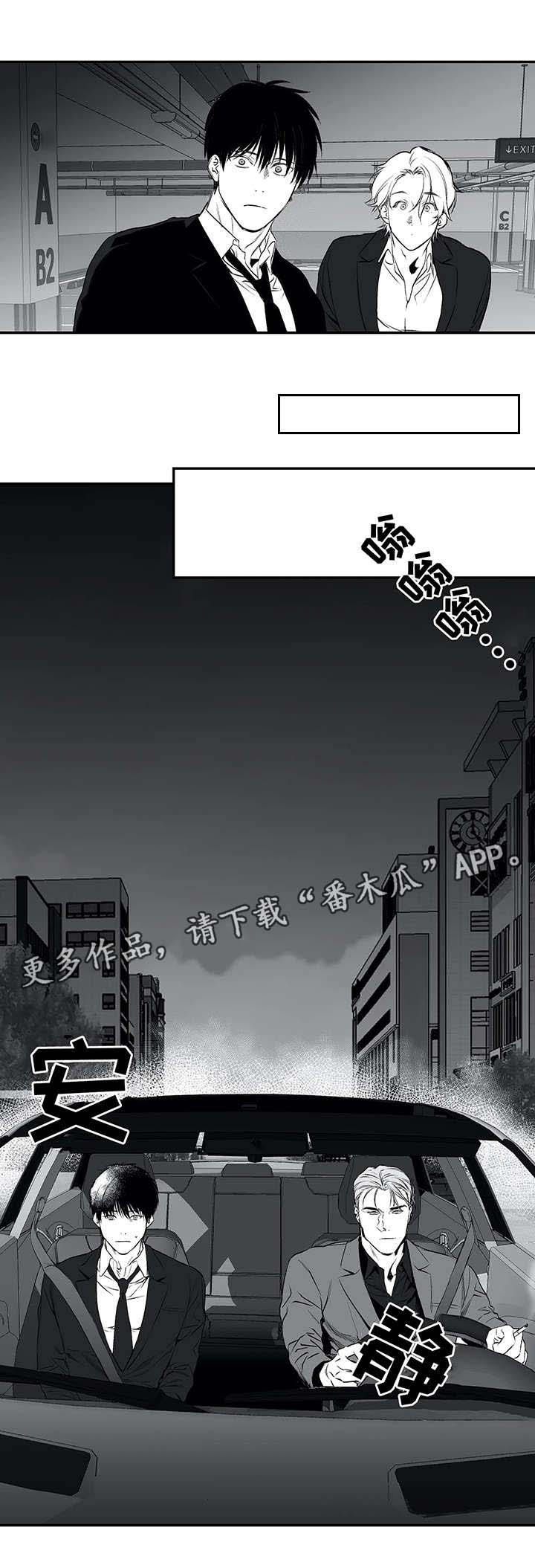 拳击手漫画,第19章：组织2图
