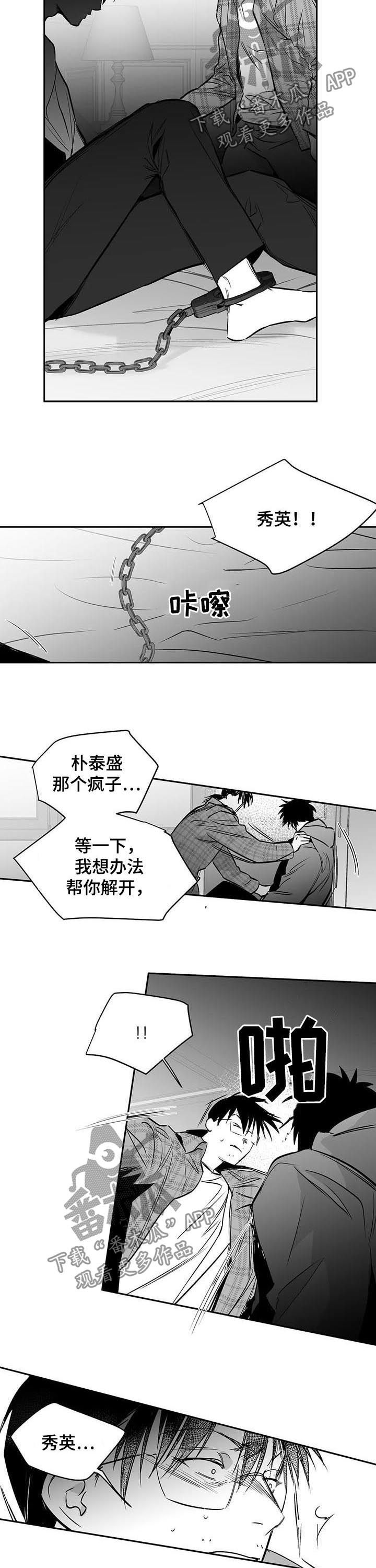 拳击手漫画,第130章：【第二季】消灭混混1图