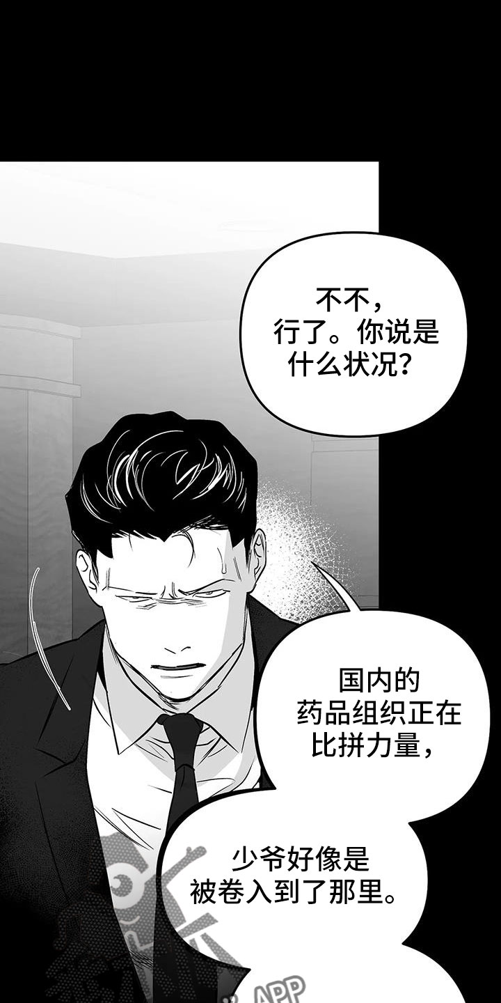 拳击手漫画,第210章：【第三季】替你看2图