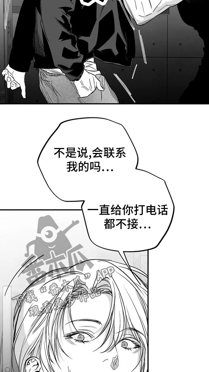 拳击手漫画,第197章：【第三季】你想听吗2图