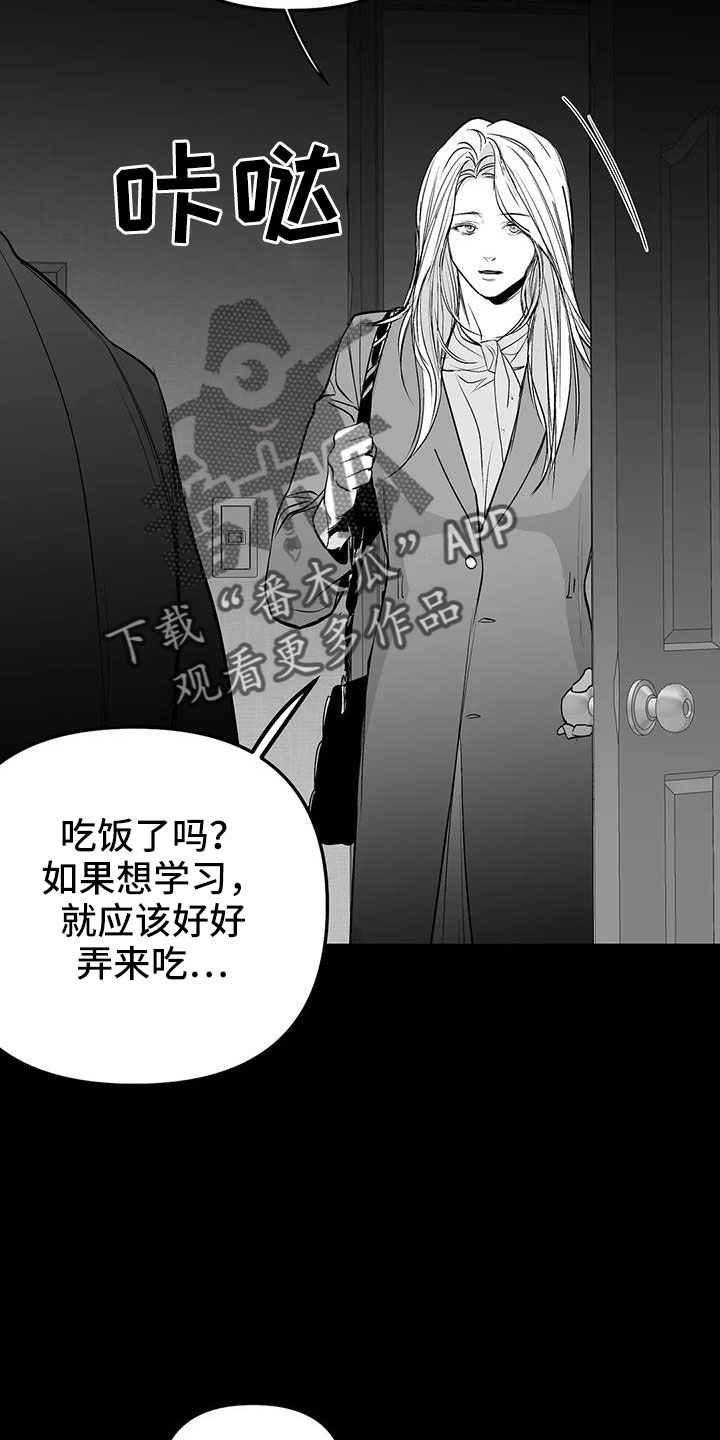 拳击手漫画,第217章：【第三季】戒指1图
