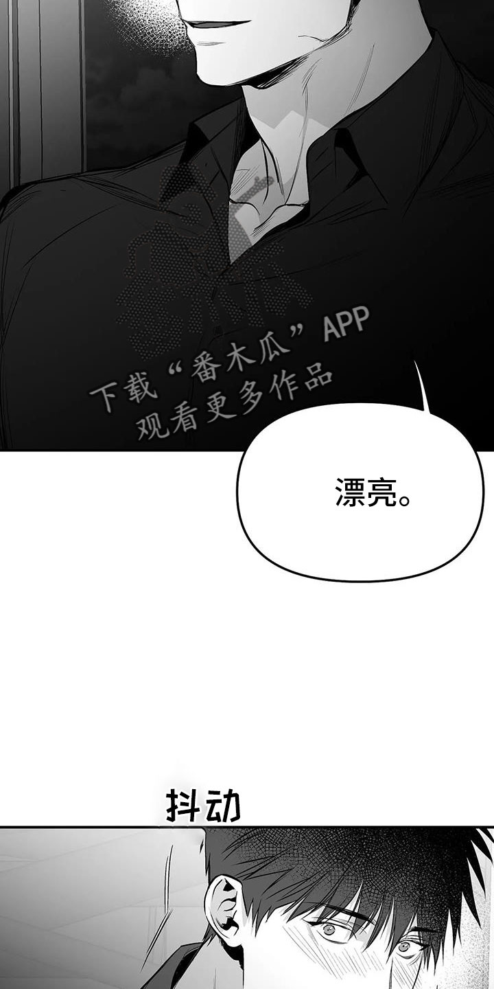 拳击手漫画,第205章：【第三季】很多第一次1图