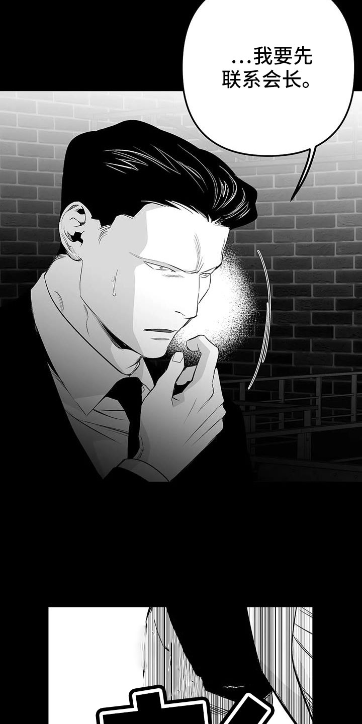拳击手漫画,第210章：【第三季】替你看1图