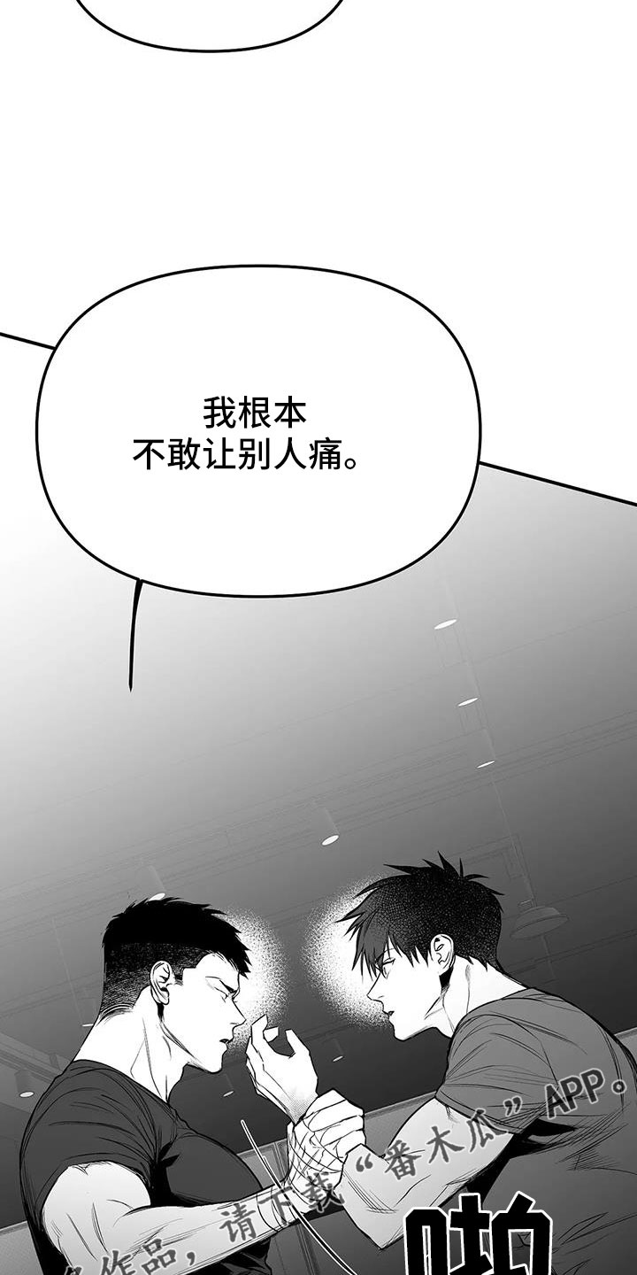 拳击手漫画,第215章：【第三季】不像自己1图