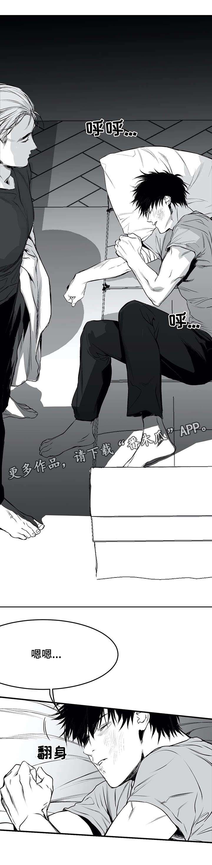 拳击手漫画,第17章：八卦1图