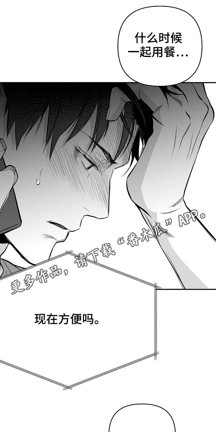 拳击手漫画,第183章：【第三季】每天死一个1图