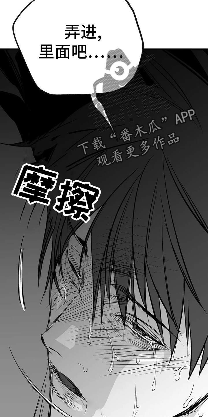 拳击手漫画,第237章：【第三季】闪耀2图