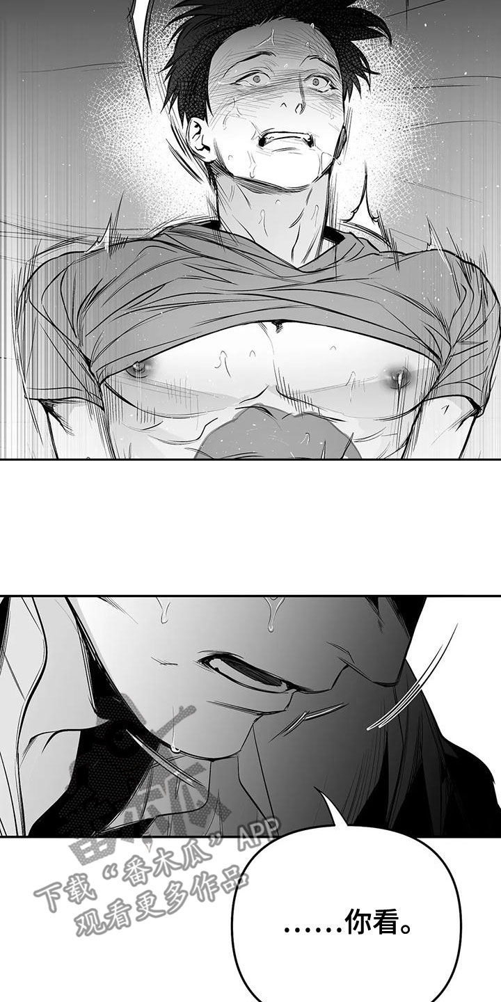 拳击手漫画,第189章：【第三季】很好1图