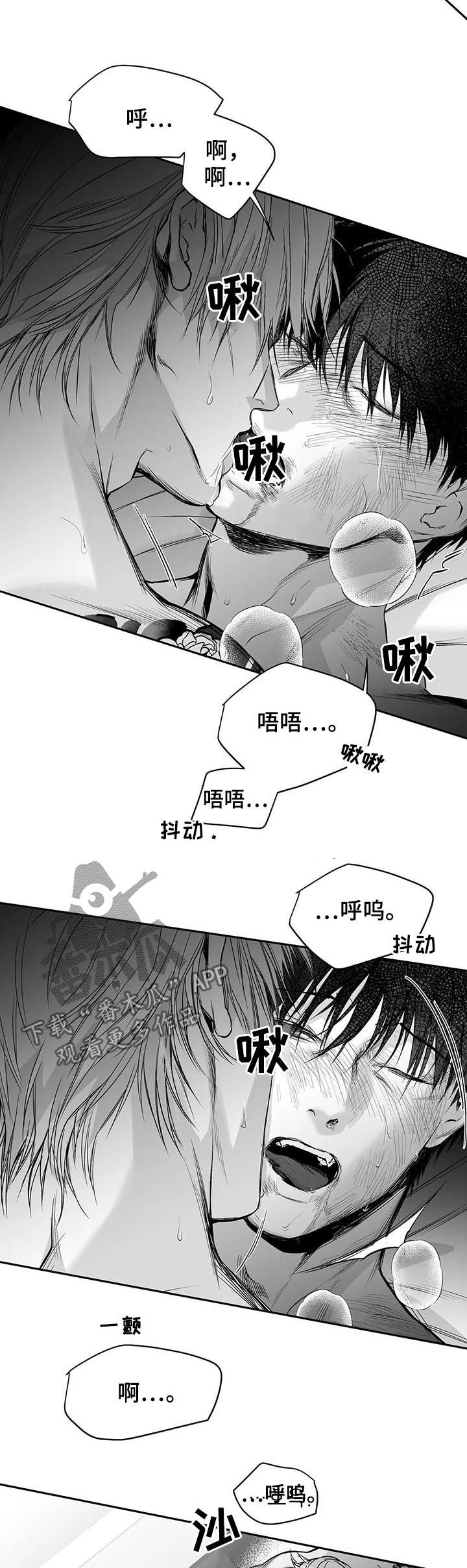 拳击手漫画,第121章：【第二季】到此为止吧1图