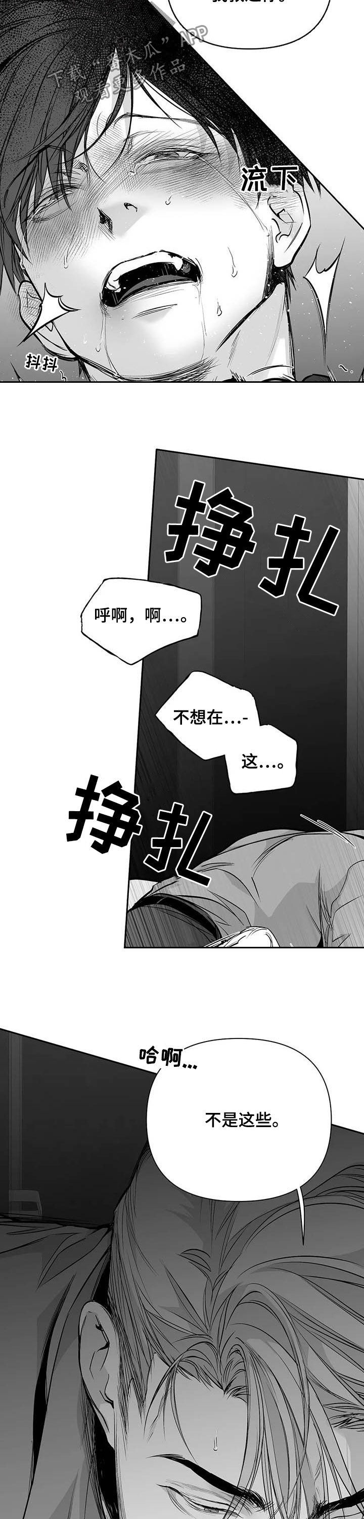 拳击手漫画,第139章：【第二季】你是我的1图