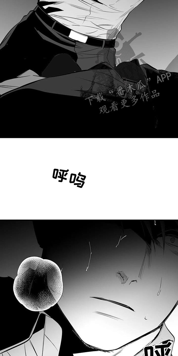 拳击手漫画,第186章：【第三季】中毒了2图