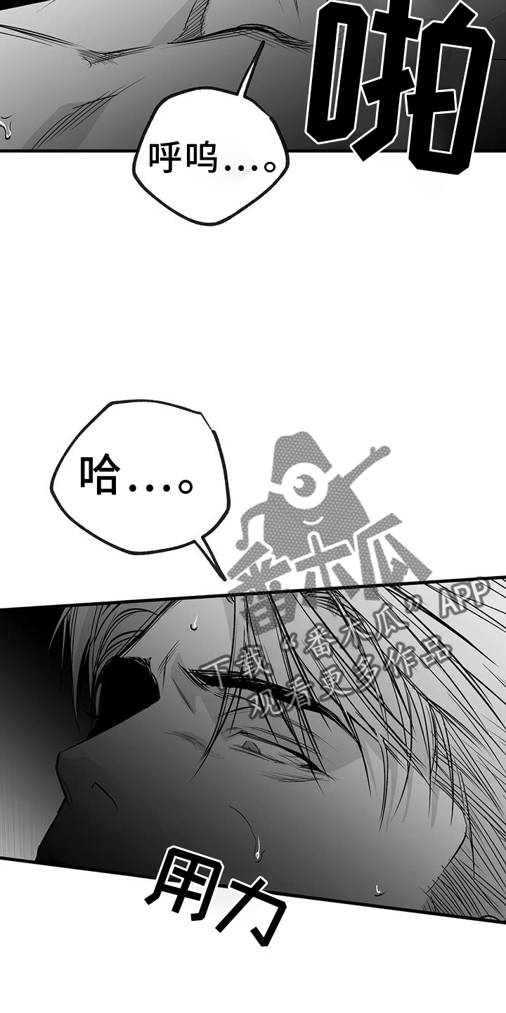 拳击手漫画,第234章：【第三季】表现2图