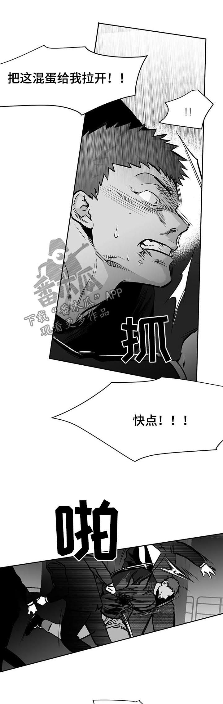 拳击手漫画,第118章：【第二季】爸爸2图