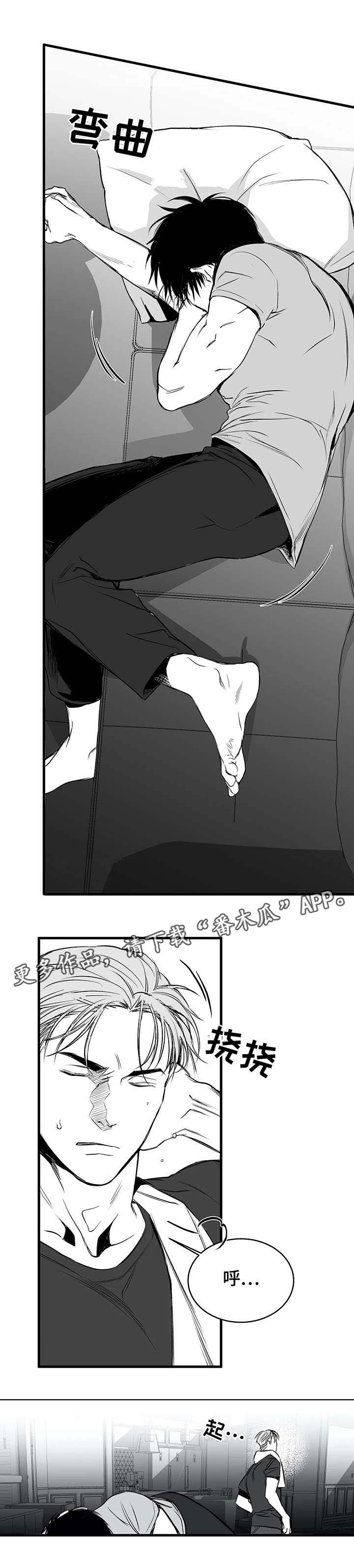 拳击手漫画,第17章：八卦1图