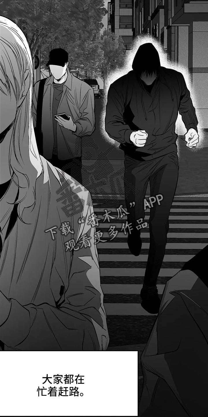 拳击手漫画,第201章：【第三季】去散步1图