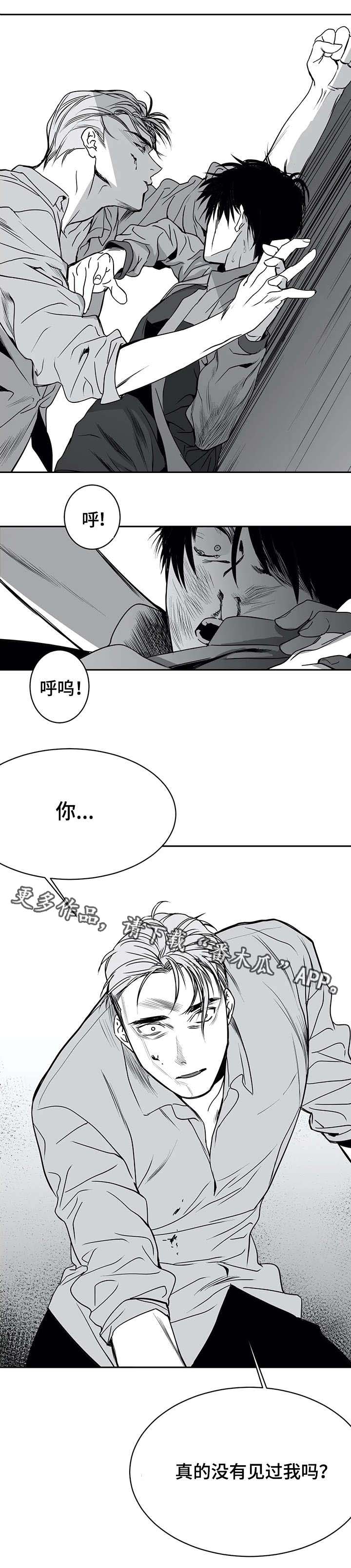 拳击手漫画,第7章：面熟1图