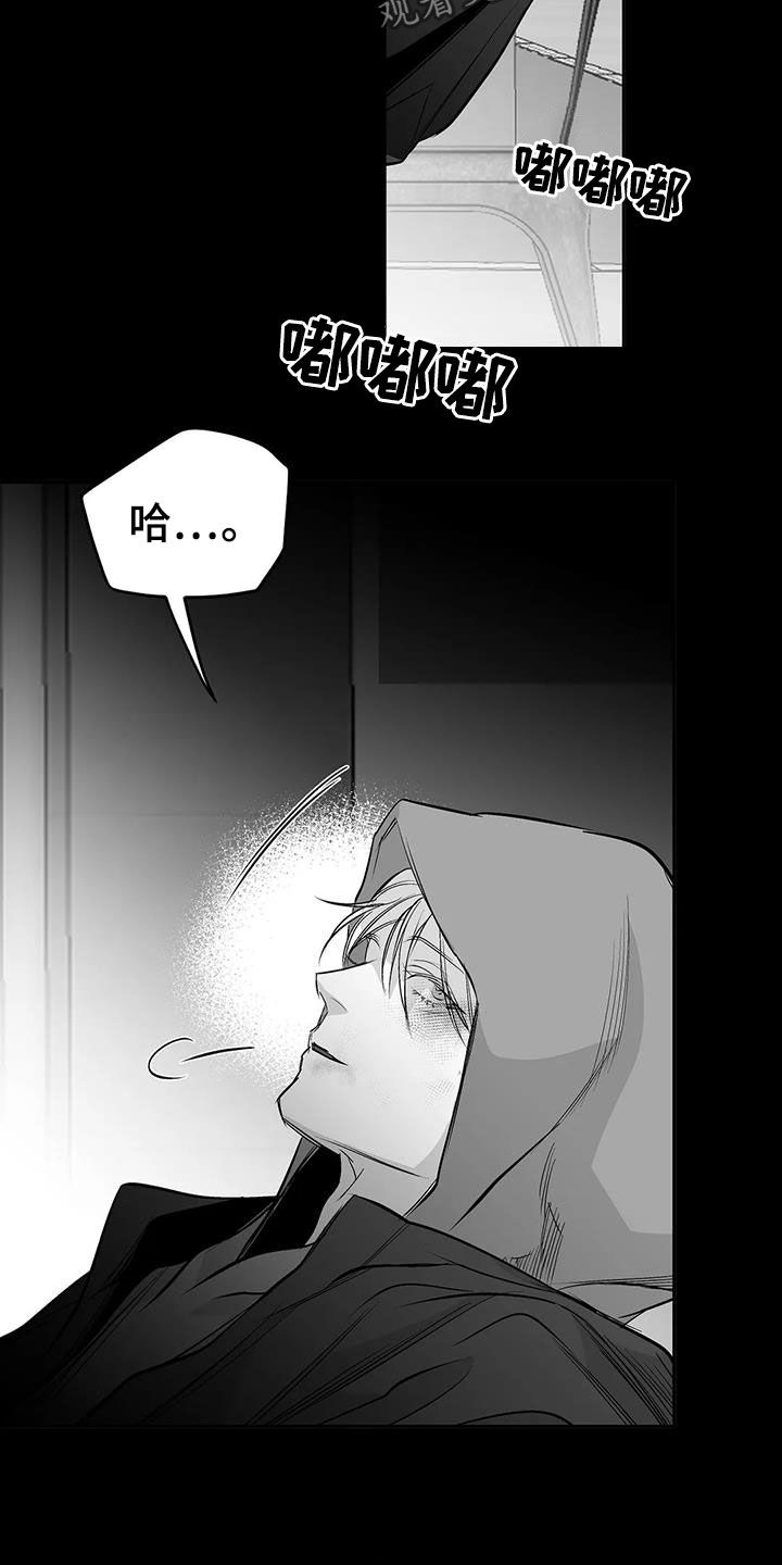 拳击手漫画,第154章：【第三季】联合1图