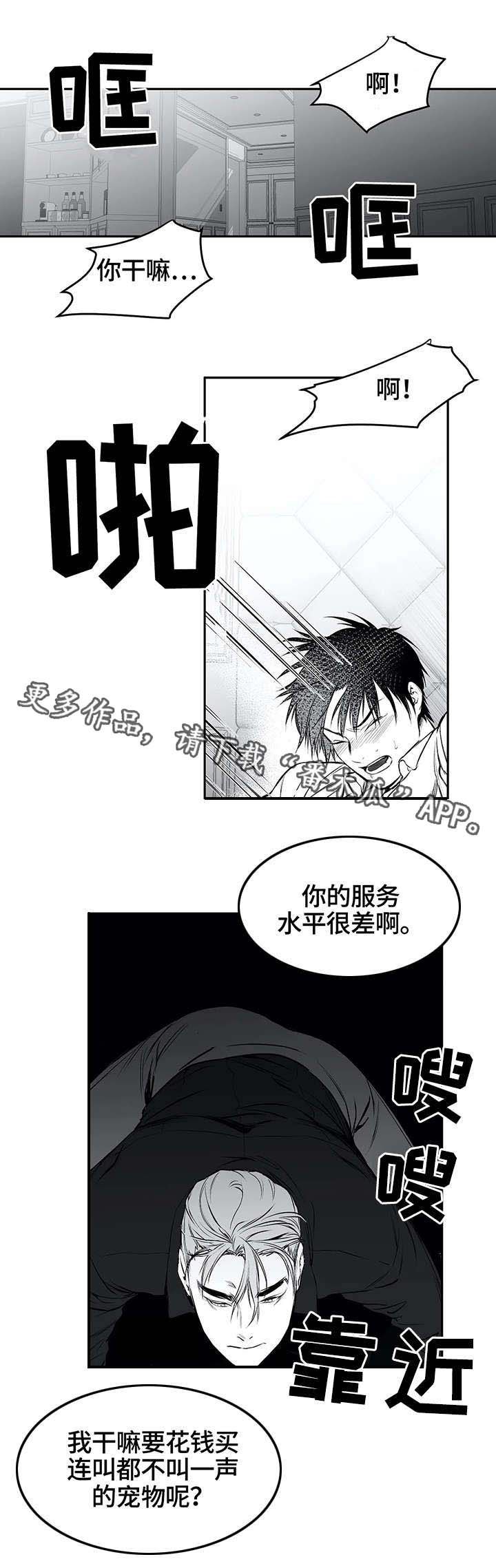 拳击手漫画,第26章：空白1图