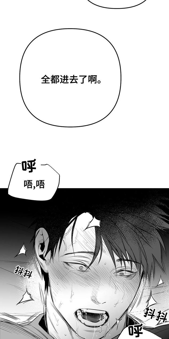 拳击手漫画,第189章：【第三季】很好2图