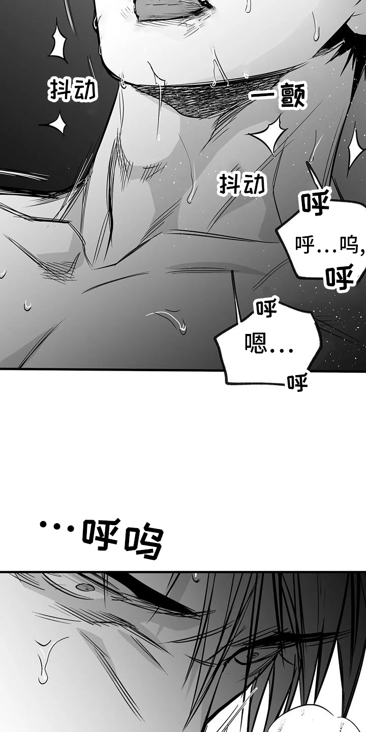 拳击手漫画,第237章：【第三季】闪耀1图