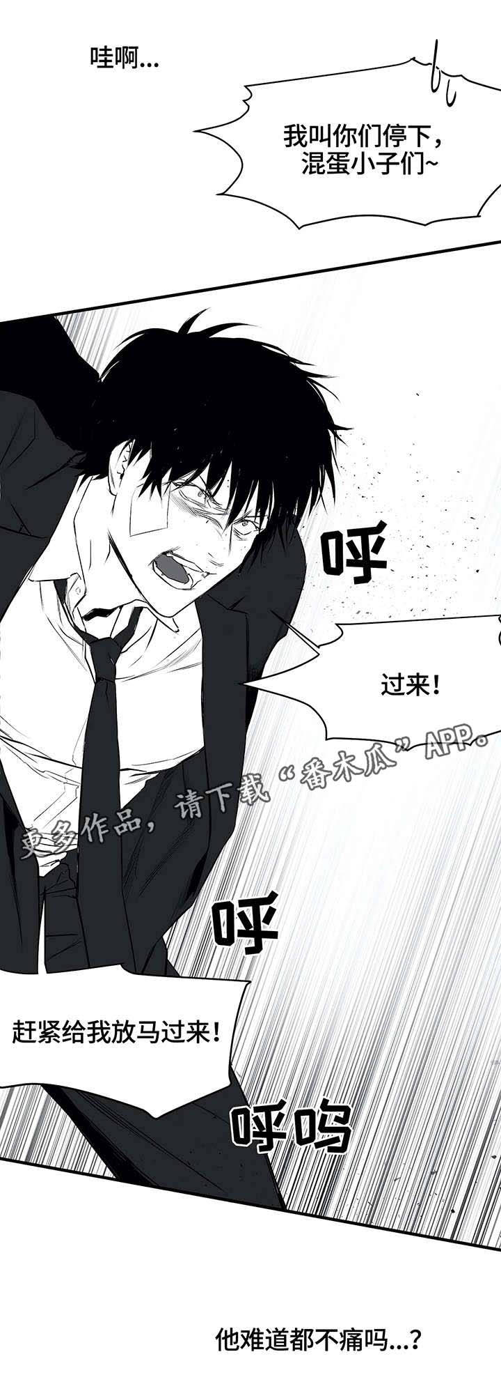 拳击手漫画,第12章：凶狠1图