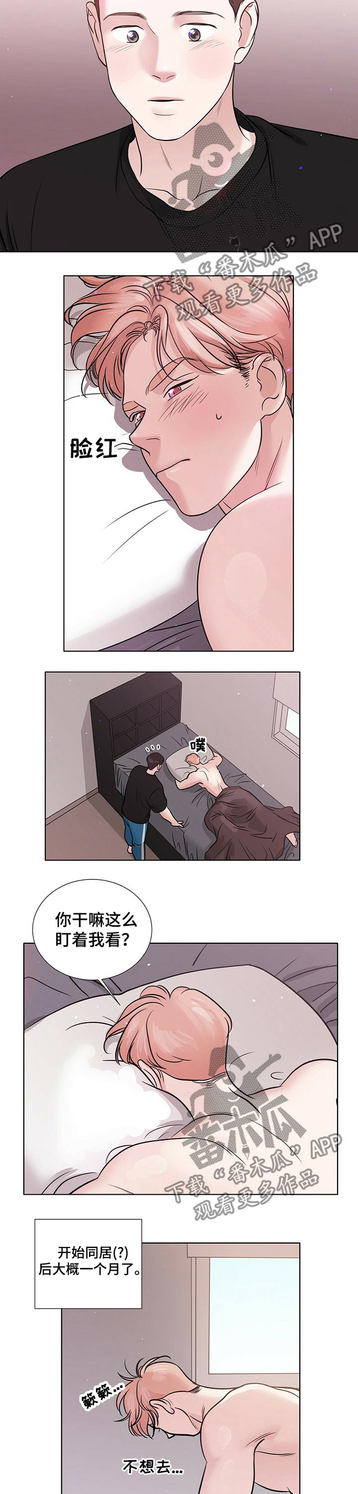 越界20集完整版漫画,第76章：同居2图