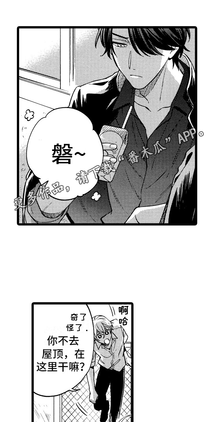 旋转之旋转斗士漫画,第7章：关系淡了1图