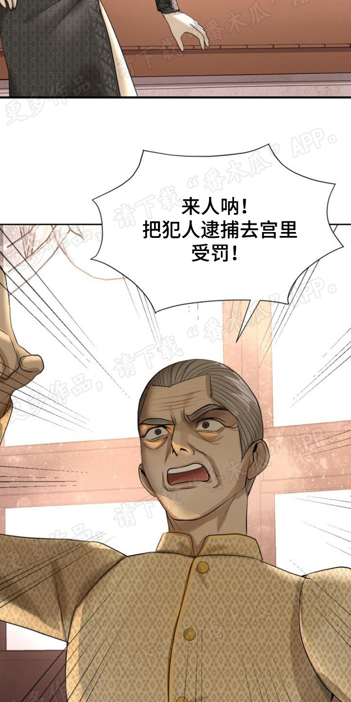 暹罗最美的少爷是什么品种漫画,第64章：反叛1图