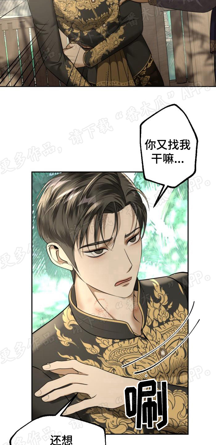 暹罗最美的少爷解说漫画,第80章：脑海中的影像2图