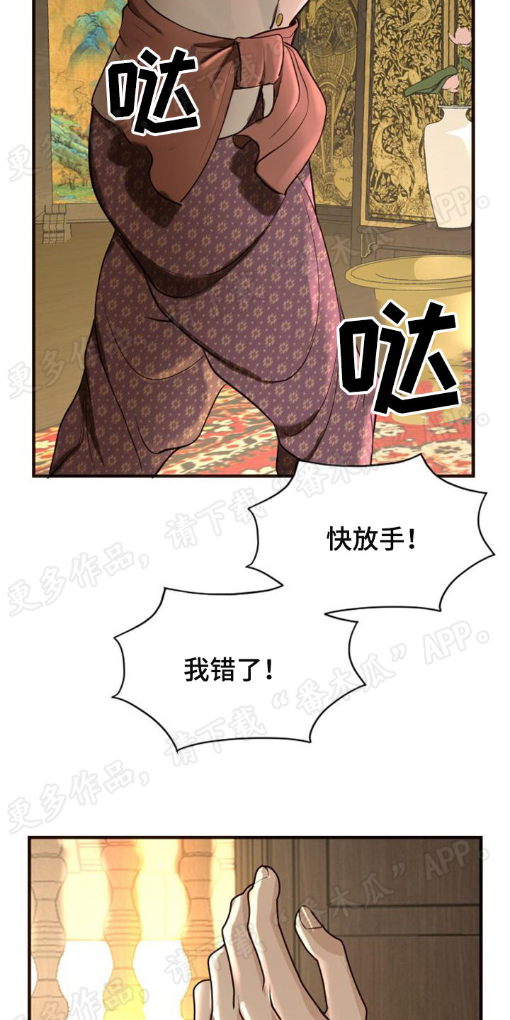 暹罗最美的少爷txt漫画,第13章：强行带走2图