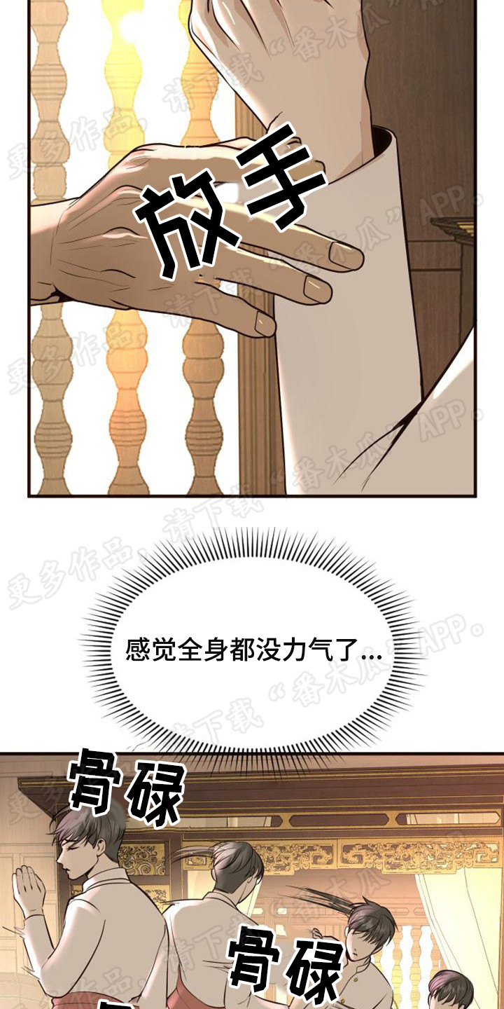 暹罗最美的少爷txt漫画,第13章：强行带走1图